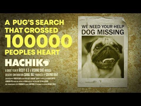 Hachiko | Short Film of the Day