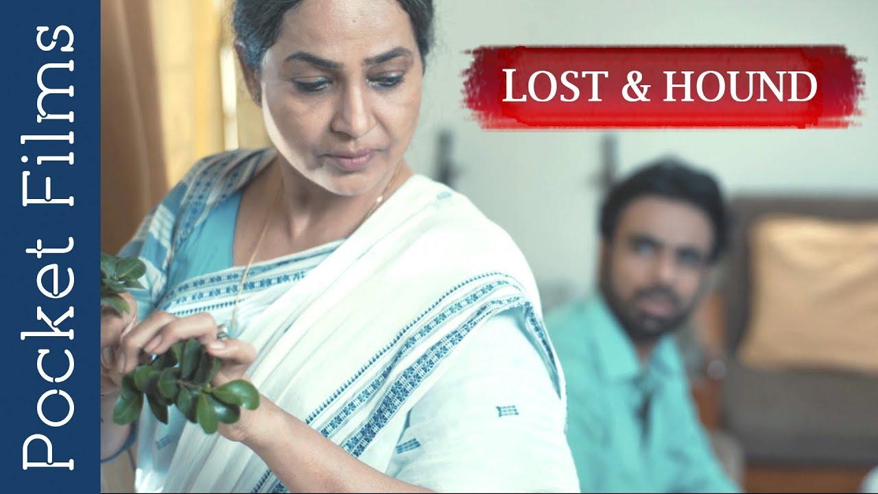 Lost and Hound | Short Film of the Day