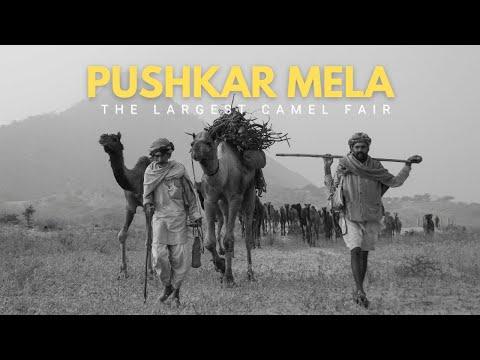 Pushkar Fair | Short Film Nominee