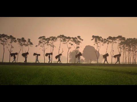 ThankYouKisaan | Short Film of the Day